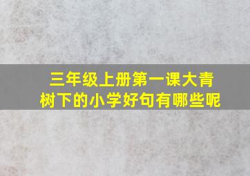 三年级上册第一课大青树下的小学好句有哪些呢