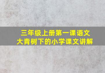 三年级上册第一课语文大青树下的小学课文讲解