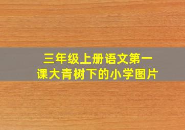 三年级上册语文第一课大青树下的小学图片