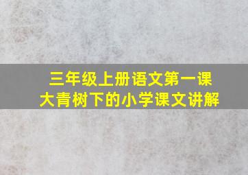 三年级上册语文第一课大青树下的小学课文讲解