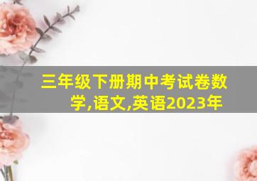 三年级下册期中考试卷数学,语文,英语2023年