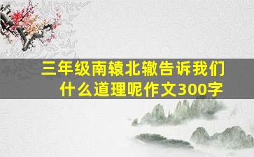 三年级南辕北辙告诉我们什么道理呢作文300字