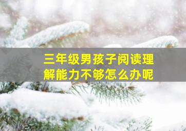 三年级男孩子阅读理解能力不够怎么办呢