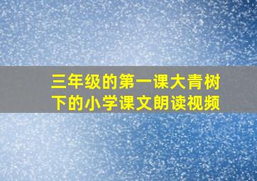 三年级的第一课大青树下的小学课文朗读视频