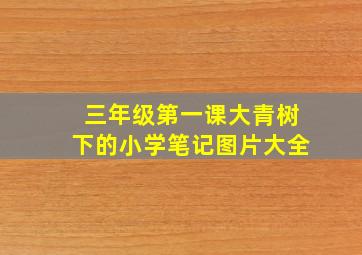 三年级第一课大青树下的小学笔记图片大全