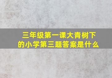 三年级第一课大青树下的小学第三题答案是什么