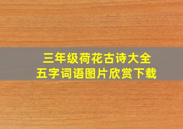 三年级荷花古诗大全五字词语图片欣赏下载