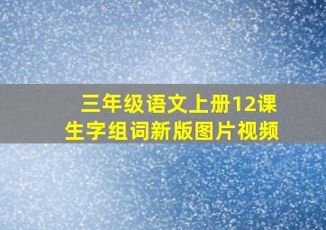 三年级语文上册12课生字组词新版图片视频