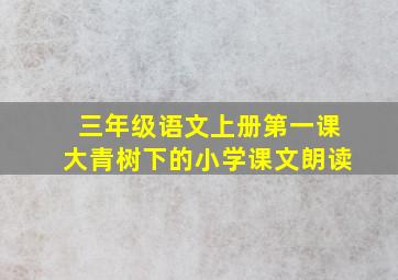 三年级语文上册第一课大青树下的小学课文朗读