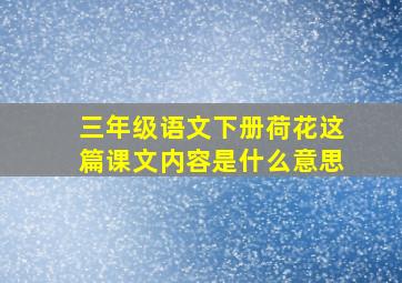 三年级语文下册荷花这篇课文内容是什么意思