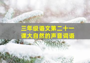 三年级语文第二十一课大自然的声音词语