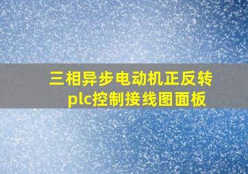 三相异步电动机正反转plc控制接线图面板