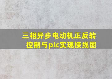 三相异步电动机正反转控制与plc实现接线图