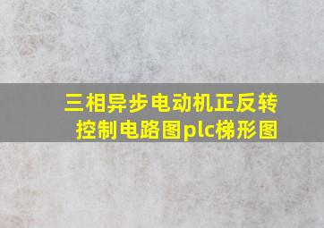 三相异步电动机正反转控制电路图plc梯形图