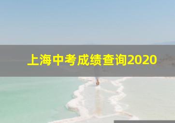 上海中考成绩查询2020