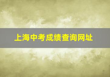 上海中考成绩查询网址