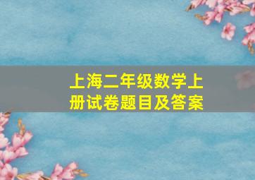 上海二年级数学上册试卷题目及答案