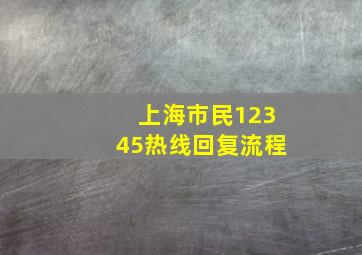 上海市民12345热线回复流程