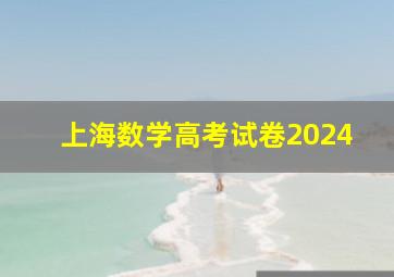 上海数学高考试卷2024