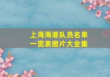 上海海港队员名单一览表图片大全集