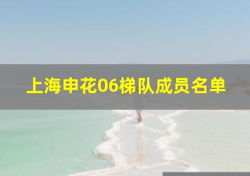 上海申花06梯队成员名单