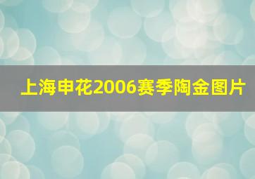 上海申花2006赛季陶金图片