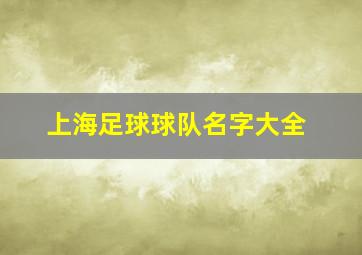 上海足球球队名字大全