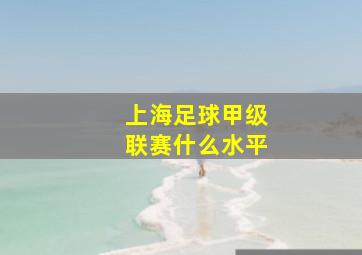 上海足球甲级联赛什么水平