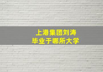 上港集团刘涛毕业于哪所大学