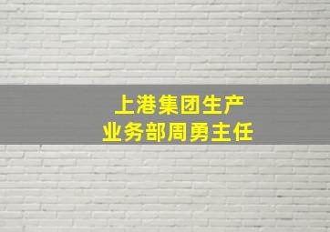 上港集团生产业务部周勇主任