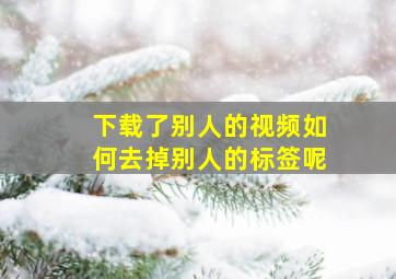 下载了别人的视频如何去掉别人的标签呢