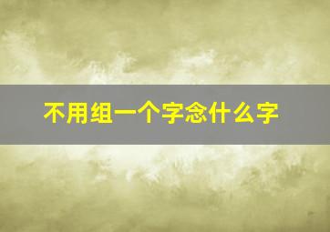 不用组一个字念什么字