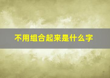 不用组合起来是什么字