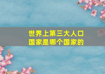 世界上第三大人口国家是哪个国家的