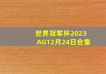 世界冠军杯2023AG12月24日合集