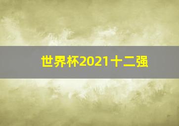 世界杯2021十二强