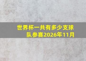 世界杯一共有多少支球队参赛2026年11月