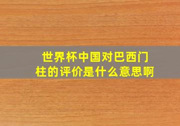 世界杯中国对巴西门柱的评价是什么意思啊