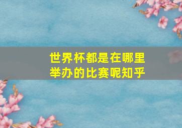 世界杯都是在哪里举办的比赛呢知乎