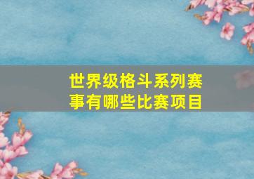 世界级格斗系列赛事有哪些比赛项目