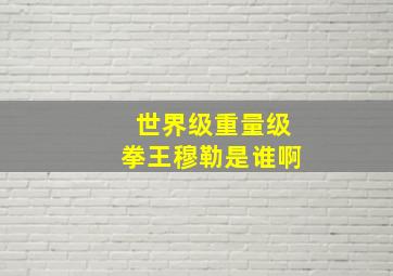 世界级重量级拳王穆勒是谁啊