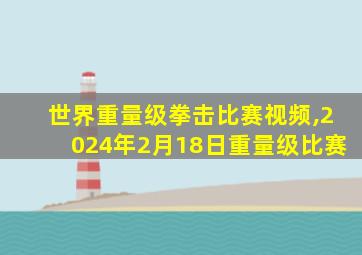 世界重量级拳击比赛视频,2024年2月18日重量级比赛