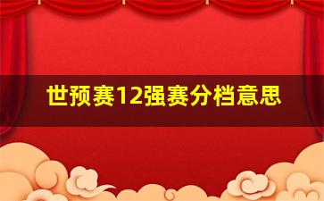 世预赛12强赛分档意思