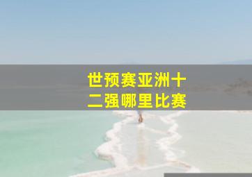 世预赛亚洲十二强哪里比赛