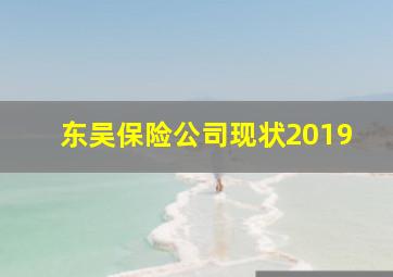 东吴保险公司现状2019