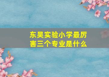 东吴实验小学最厉害三个专业是什么