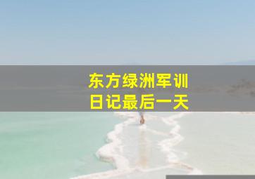 东方绿洲军训日记最后一天