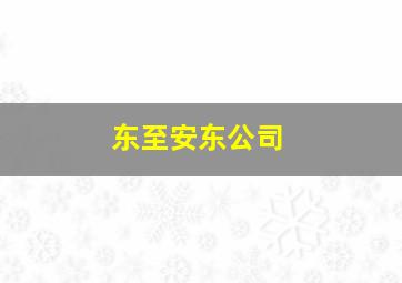 东至安东公司