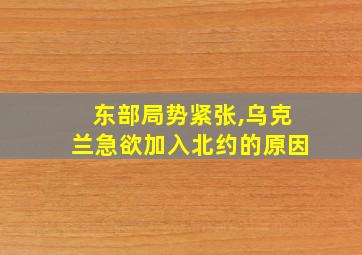 东部局势紧张,乌克兰急欲加入北约的原因