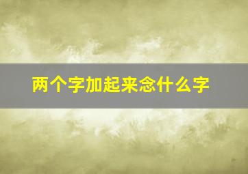 两个字加起来念什么字